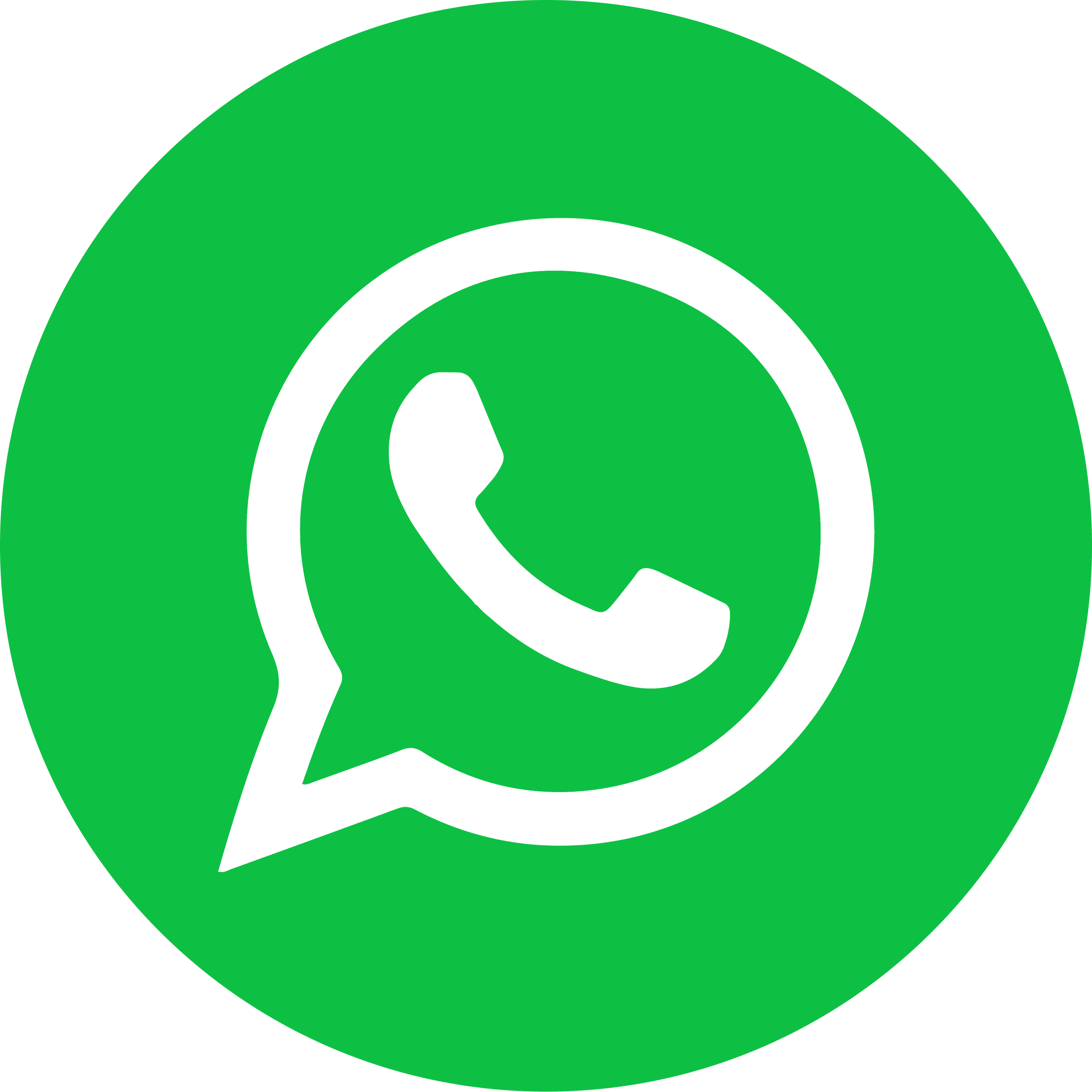 icone logo whatsapp